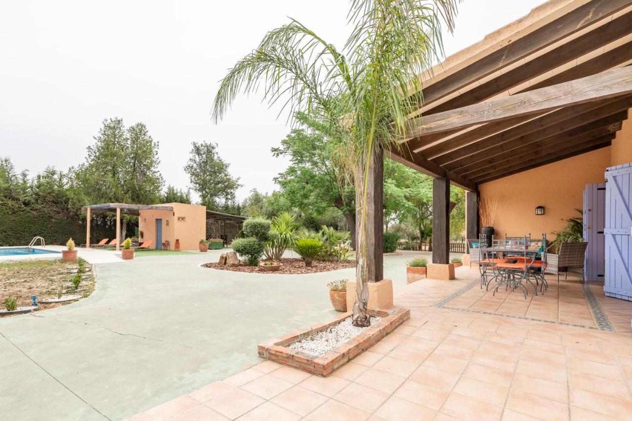 Laforge Villa Carmona (Seville)
